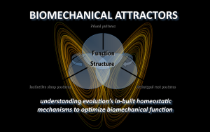Biomechanical Attractors Webinar Ad'